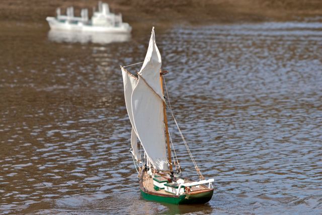 DSC09763 © Peter Taylor 2012