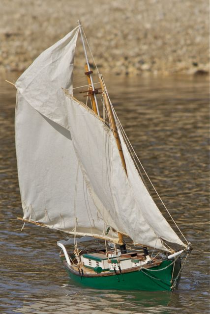 DSC09771 © Peter Taylor 2012