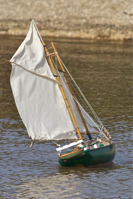 DSC09767 © Peter Taylor 2012