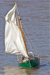DSC09770 © Peter Taylor 2012