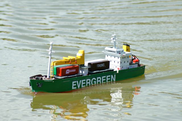 Evergreen Harmony DSC01654