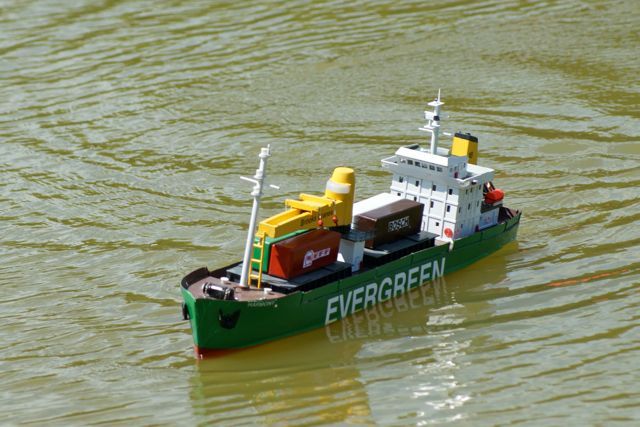 Evergreen Harmony DSC01656