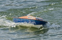 DSC08626 © Peter Taylor 2011