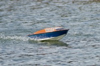 DSC08602 © Peter Taylor 2011