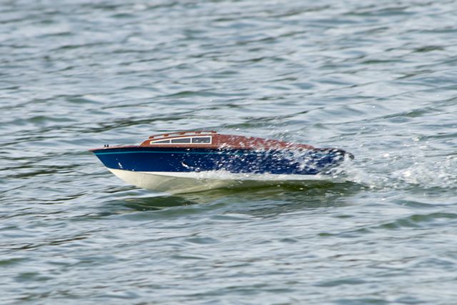 DSC08592 © Peter Taylor 2011
