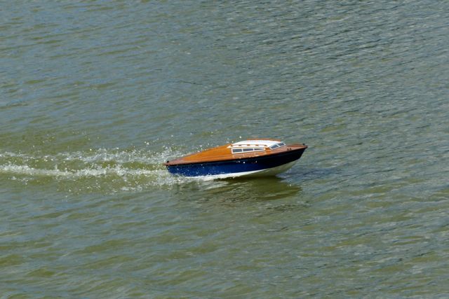 DSC01627 © Peter Taylor 2009