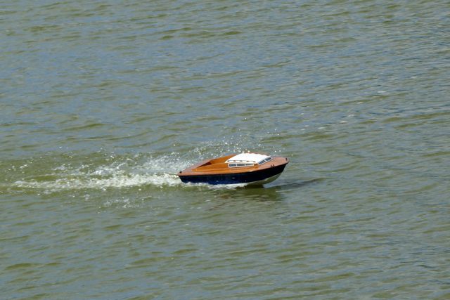 DSC01625 © Peter Taylor 2009