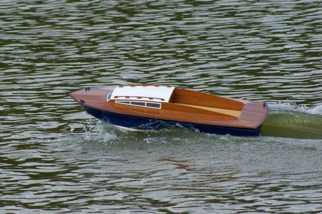 DSC01614 © Peter Taylor 2009