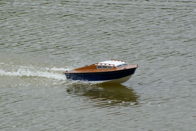 DSC00108 © Peter Taylor 2009