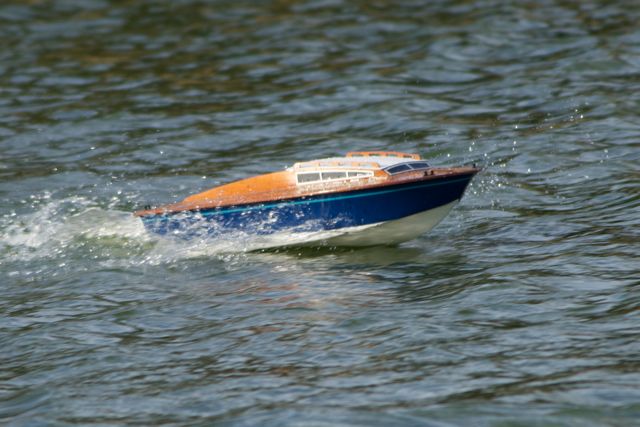 DSC08628 © Peter Taylor 2011