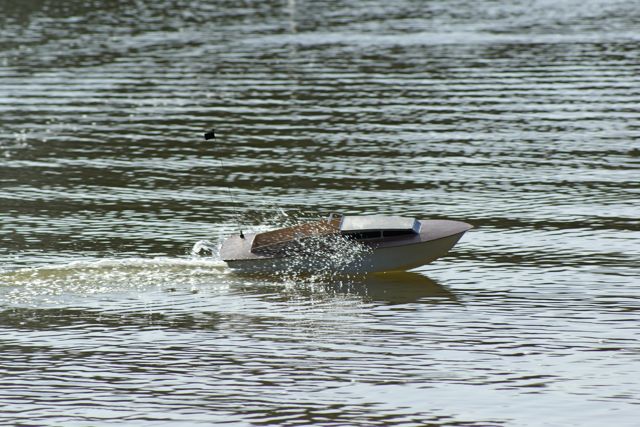 DSC07034 © Peter Taylor 2008
