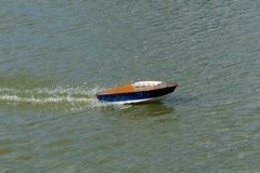 DSC01627 © Peter Taylor 2009