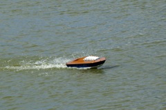 DSC01625 © Peter Taylor 2009