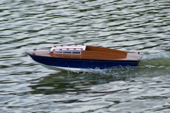 DSC01616 © Peter Taylor 2009