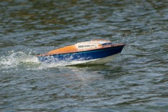 DSC08628 © Peter Taylor 2011