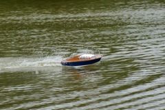 DSC00091 © Peter Taylor 2009