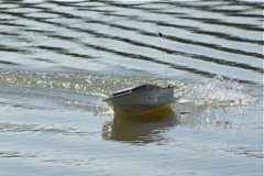 DSC07036 © Peter Taylor 2008