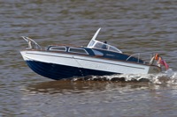 DSC04779 © Peter Taylor 2011