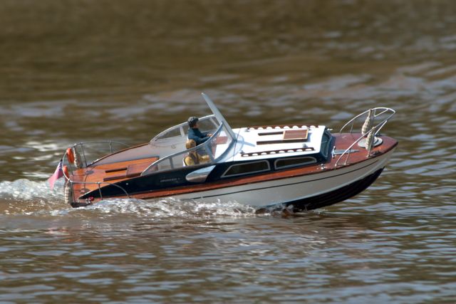 DSC04782 © Peter Taylor 2011