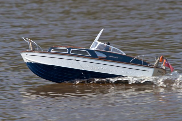 DSC04779 © Peter Taylor 2011