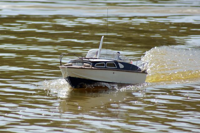 DSC05738 © Peter Taylor 2008