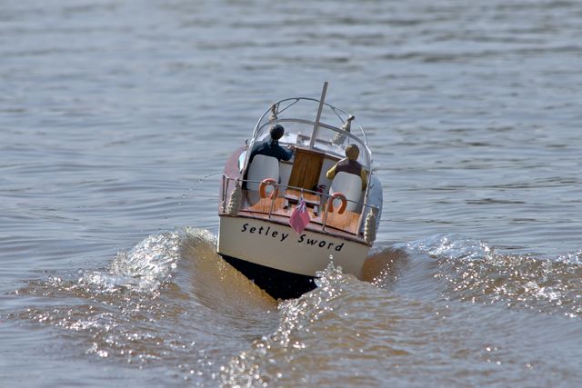 DSC04796 © Peter Taylor 2011