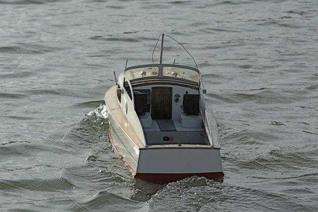 DSC08338 Photo © Peter Taylor (2008)