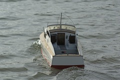 DSC08338 Photo © Peter Taylor (2008)