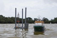 DSC00984 © Peter Taylor 2012