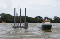 DSC00983 © Peter Taylor 2012
