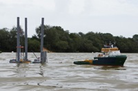 DSC00982 © Peter Taylor 2012