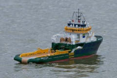 DSC00428 © Peter Taylor 2012