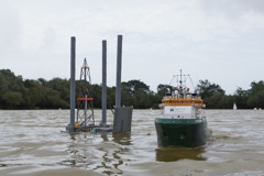 DSC00984 © Peter Taylor 2012