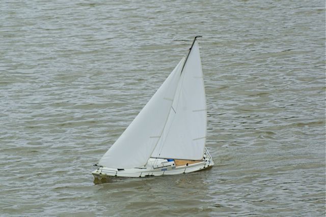 DSC00981 © Peter Taylor 2009