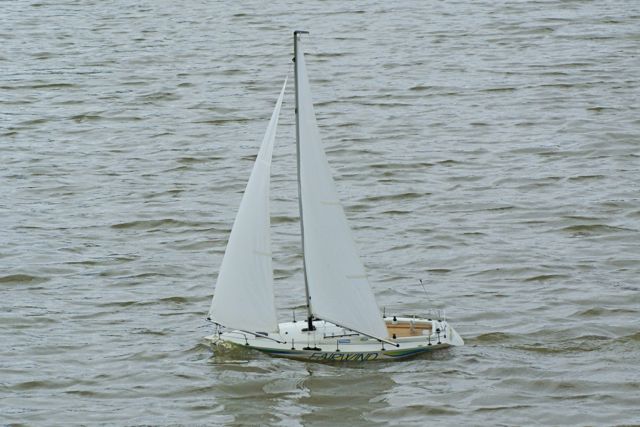 DSC00979 © Peter Taylor 2009