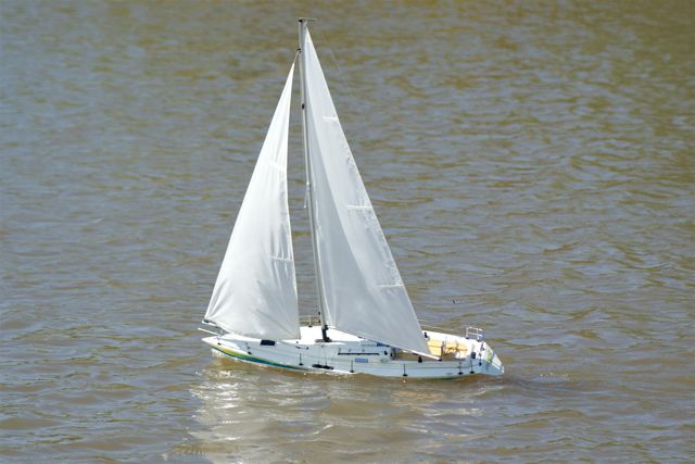A100.08041803  © Peter Taylor 2008