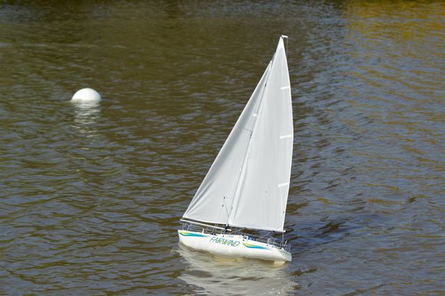 A100.08041802  © Peter Taylor 2008