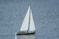 A100.08041801 © Peter Taylor 2008