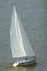 A100.07042805 © Peter Taylor 2007