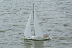 DSC00979 © Peter Taylor 2009