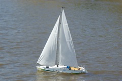 A100.08041804 © Peter Taylor 2008