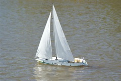 A100.08041803 © Peter Taylor 2008