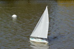 A100.08041802 © Peter Taylor 2008