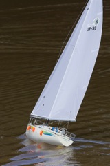 DSC06147 © Peter Taylor 2011