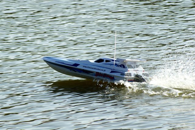 Blue Streak  DSC03553
