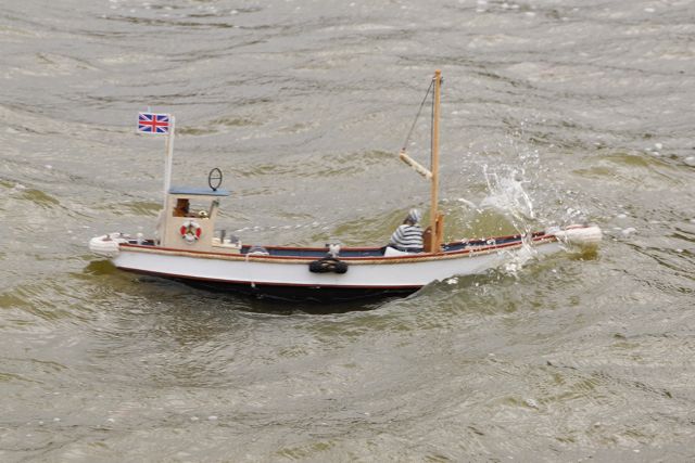 DSC02034 © Peter Taylor 2012