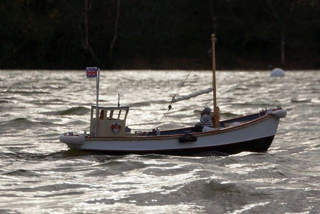 DSC01990 © Peter Taylor 2012