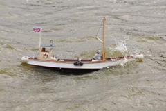 DSC02034 © Peter Taylor 2012