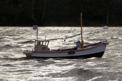 DSC01990 © Peter Taylor 2012