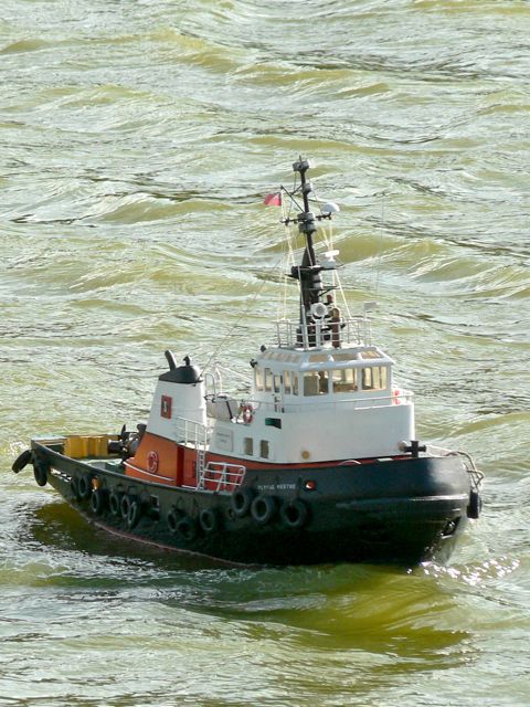 FZ5.06100802 © Peter Taylor 2006